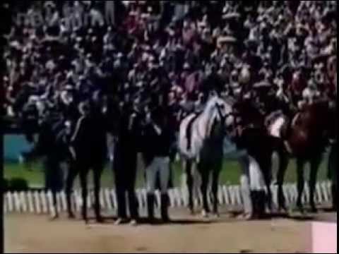 Видео: Конный спорт  Олимпиада 80