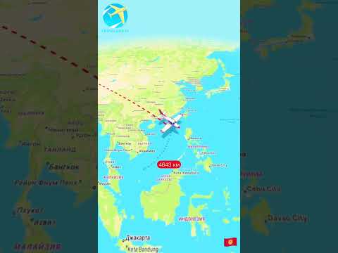 Видео: Австралия🦘