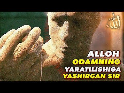 Видео: Одамнинг яратилишига яширилган сир!