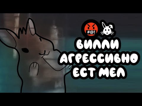 Видео: 🤬🐰Вилли агрессивно ест МЕЛ🐰🤬