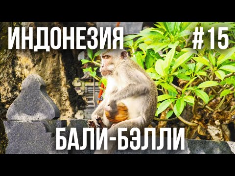 Видео: ИНДОНЕЗИЯ 2025 #15. ПЛЯЖ МЕЛАСТИ. НЕУДАЧНЫЙ ДЕНЬ. БАЛИ-БЭЛЛИ. ТЕЛЕМЕДИЦИНА