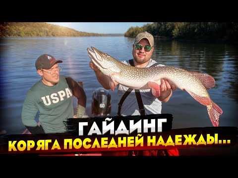 Видео: ЛОВЛЯ ТРОФЕЙНОЙ ЩУКИ с panoptix. Коряга последней надежды! Рыбалка на оке.