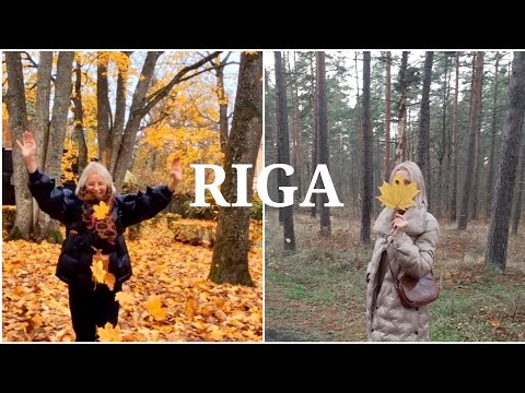 Видео: Меня послали!//Куда мы катимся!//Бэла- юный художник!//