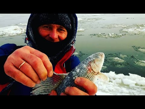 Видео: Рыбалка на Енисее🎣🎣🎣 Кромка 2021 Ловим хариуса