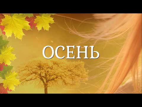 Видео: Осень. Осенняя зарисовка. Осеннее настроение