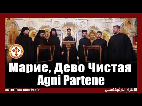 Видео: Russian Byzantine Orthodox: Agni Parthene (Αγνή Παρθένε) | Марие, Дево Чистая (English Subtitles)