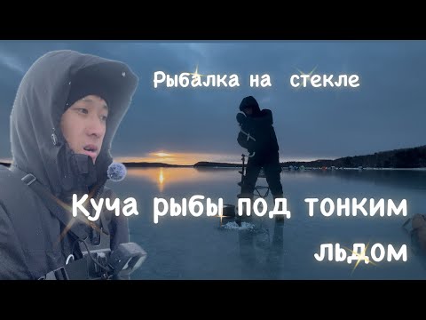 Видео: Опасный первый лед на озере!!!Ушел от всех и наловил куча рыбы!Сахалин рыбалка  корюшка.