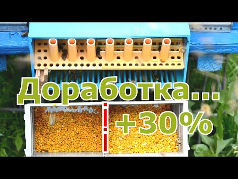 Видео: ДОРАБОТКА пыльцесборника. 30%+