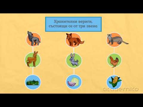 Видео: Взаимодействия между растенията и животните - Човекът и природата 3 клас | academico