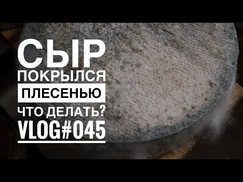 Видео: Сыр покрылся плесенью: что делать?