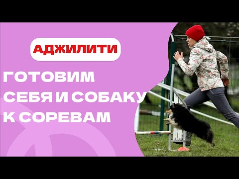 Видео: Аджилити: идеальная подготовка до, во время и после соревнований