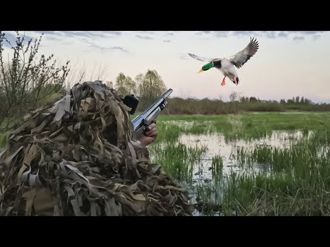 Видео: ЗАВОРАЖИВАЮЩИЕ МОМЕНТЫ ОХОТЫ С ПОДСАДНОЙ. Весенняя охота 2023 скоро на канале