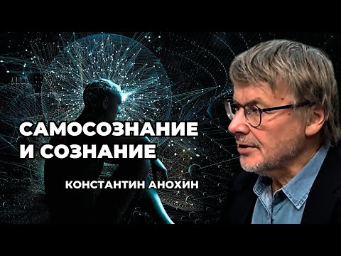 Видео: «Сознание и наука». Константин Анохин