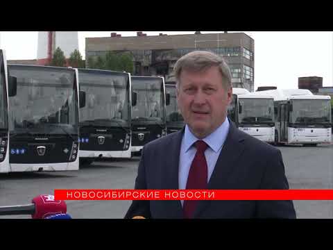 Видео: Полсотни автобусов НефАЗ с разной облицовкой прибыли в Новосибирск