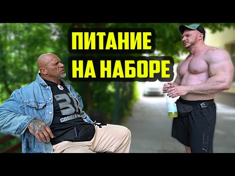 Видео: КАКИЕ УГЛЕВОДЫ И БЕЛКИ МЫ ИСПОЛЬЗУЕМ НА НАБОРЕ | ДУХОТА О ПИТАНИИ НА МАССУ