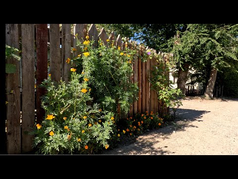 Видео: City walking #151. Volgograd. Old "micro" buildings. (Волгоград. старые микропоселки)