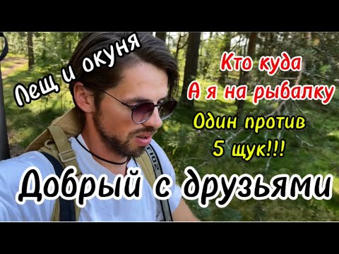 Видео: Рыбалка.Микроджиг.Река Бурная.Ладога.Окунь.Лещ.Рыбалка в Ленинградской области#fishing #микроджиг