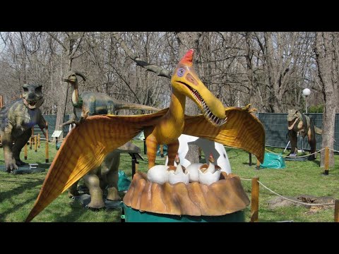 Видео: Какво очаква посетителите на Дино парка в Русе - кратка разходка