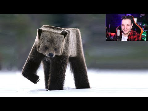 Видео: ПРОКЛЯТЫЕ МАЙНКРАФТ МЕМЫ 2