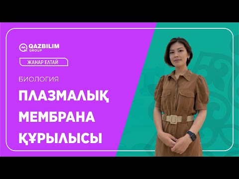 Видео: Жасушалық биология. Плазмалық мембрана құрылысы  / Биология пәнінен ҰБТ -ға дайындық / ЕНТ