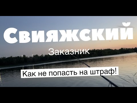 Видео: Свияжский Заказник | Как не попасть на штраф!