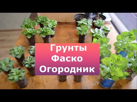 Видео: Грунт Фаско и Огородник, отзыв покупателя.