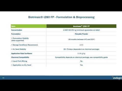 Видео: Как да повишим кълняемостта на рапицата по време на суша