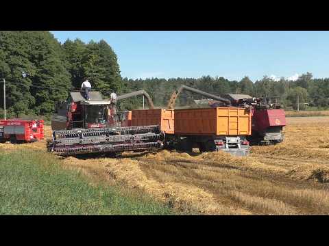 Видео: Уборка тритикале: PALESSE GS12, GS12 A1 PRO и John Deere 9640! 🌾