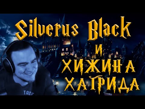 Видео: 76. 🧙 SILVERUS BLACK И ХИЖИНА ХАГРИДА 🔞 Harry Potter PC #quietman #гарипотер #blacksilverufa