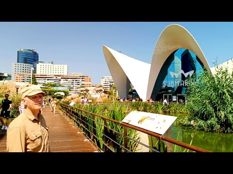Видео: Океанографический парк (L’Oceanogràfic), Валенсия, Испания, август 2024