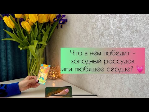 Видео: Что в нём победит - холодный рассудок или любящее сердце? 💓