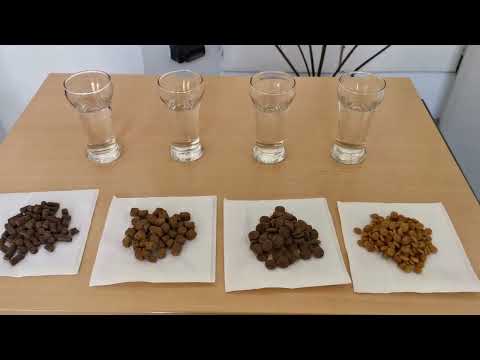 Видео: Правилнен избор на храна за кучета!