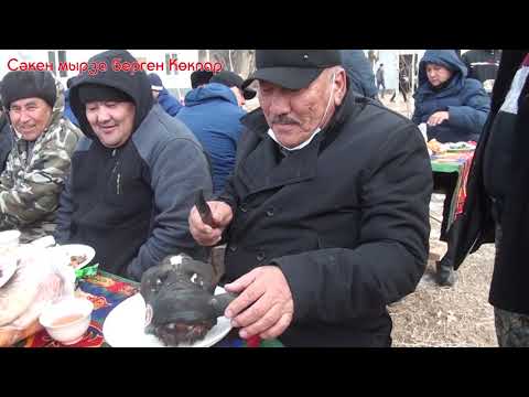Видео: Султанбековтар аулеты берген Кокпар Саркырама 19.12.2020жыл