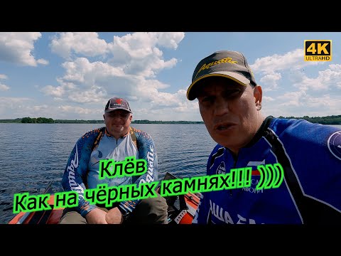 Видео: Щука ЖРЁТ как на ЧЁРНЫХ КАМНЯХ. Рыбалка на воблеры 2023
