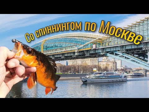 Видео: Со СПИННИНГом по МОСКВЕ. Рыбалка в центре Москвы. Дроп-шот для ловли окуня. Street Fishing