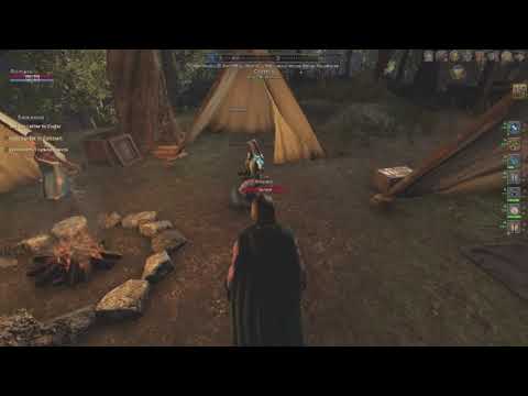 Видео: Shroud of the Avatar - Задания в Солтауне