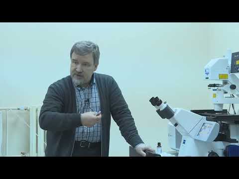Видео: Мастер класс «Построение изображений на конфокальном микроскопе ZEISS  FPAP эксперимент», часть 1
