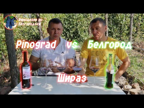 Видео: Шираз от "Pinograd Trading" vs Шираз ''Белгород"