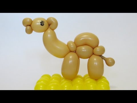 Видео: Верблюд из шарика / One balloon Camel (Subtitles)