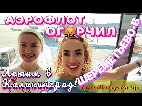 Видео: УРА❗Опять летим в Калининград 😎 Шереметьево-В и БИЗНЕС-ЗАЛ КАНДИНСКИЙ🙌 АЭРОФЛОТ снова ОТЧУДИЛ😖
