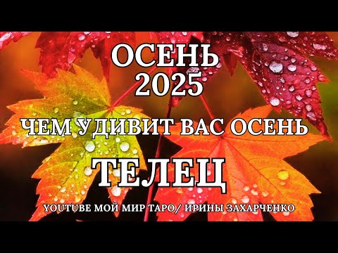Видео: ТЕЛЕЦ ♉❤️ОСЕНЬ 2025 🍂ЧЕМ УДИВИТ ВАС ОСЕНЬ🍁Таро прогноз для Тельцов/tarot forecast for Taurus. 