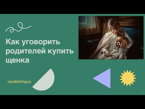 Видео: Как уговорить родителей купить щенка. Смотреть только детям без родителей!