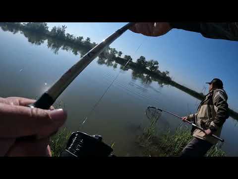 Видео: РЫБАЛКА В АБИНСКОМ РАЙОНЕ ЛОВИМ КАРПА И САЗАНА НА БАЗЕ "У СТОСА"