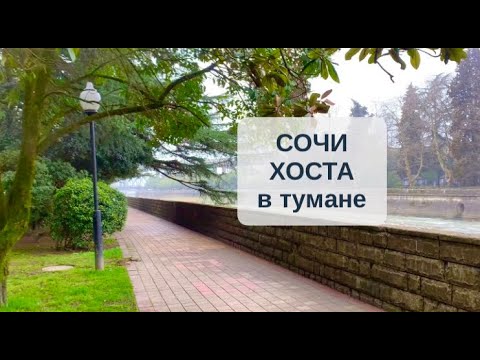 Видео: СОЧИ сегодня /ХОСТА / ёжики в тумане!/ море туманное
