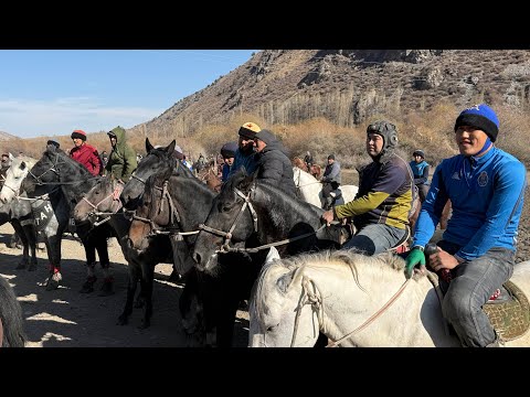 Видео: Баасы асман чапчыган аттар Ноокат аламан улак 10.10.25