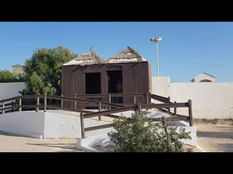 Видео: Vincci Helios Beach 4* Тунис (о.Джерба) сентябрь-октябрь 2019 - 1 часть