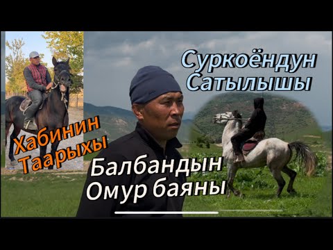 Видео: Толкун балбан  Тарых жараткан хаби Сатууга чыккан Суркоён