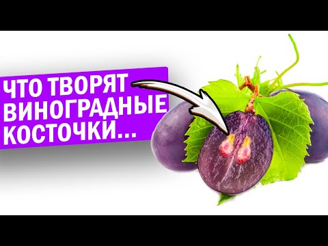 Видео: Ел виноград с косточками. Вот как изменилось моё тело через 7 дней...