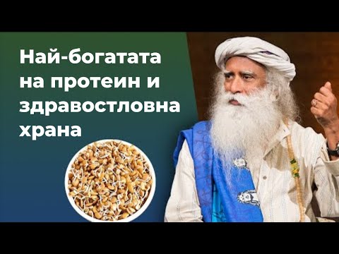 Видео: Най-здравословната и богата на протеини храна | Как да я приготвяме