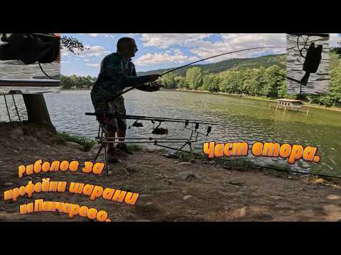 Видео: Риболов за трофейни шарани на Панчарево. Част втора. Fishing for trophy carp in Pancharevo. Part two